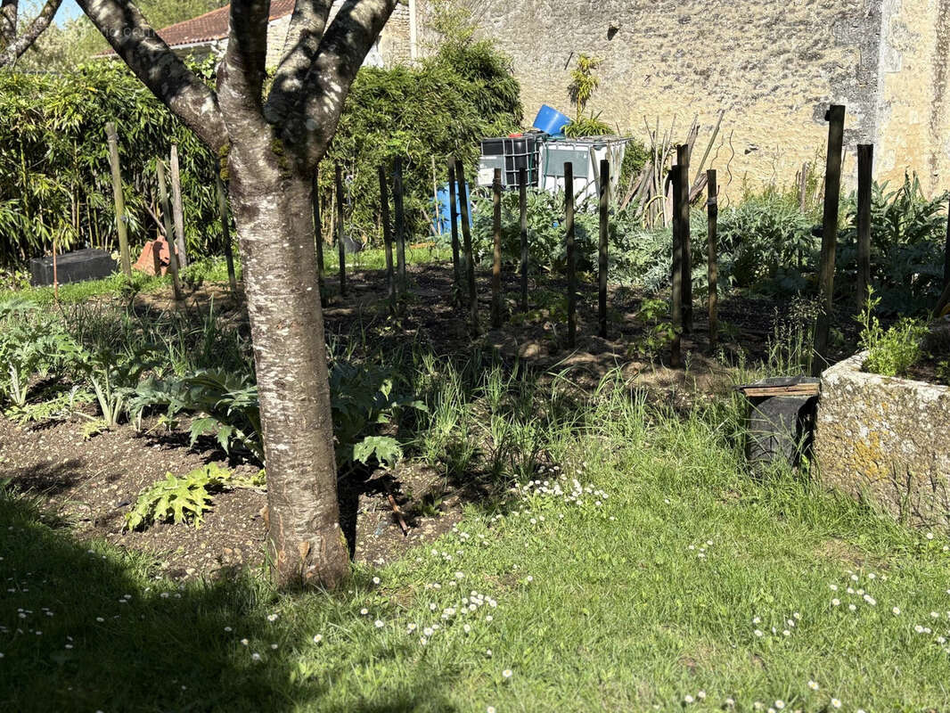 Maison à SAINT-SAVINIEN