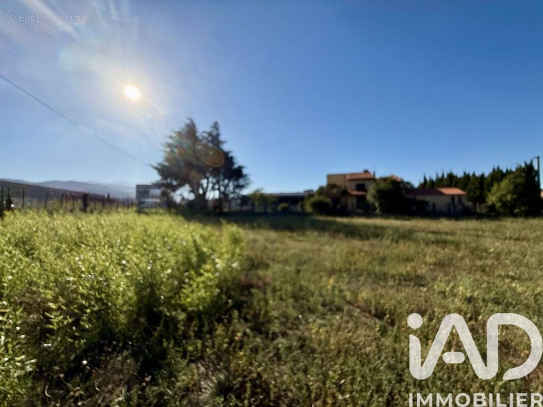 Photo 1 - Terrain à ILLE-SUR-TET