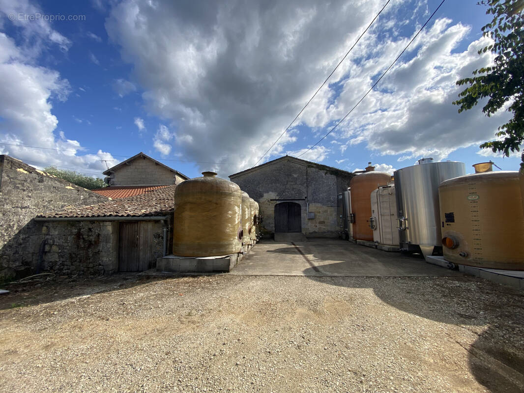 Terrain à PUISSEGUIN