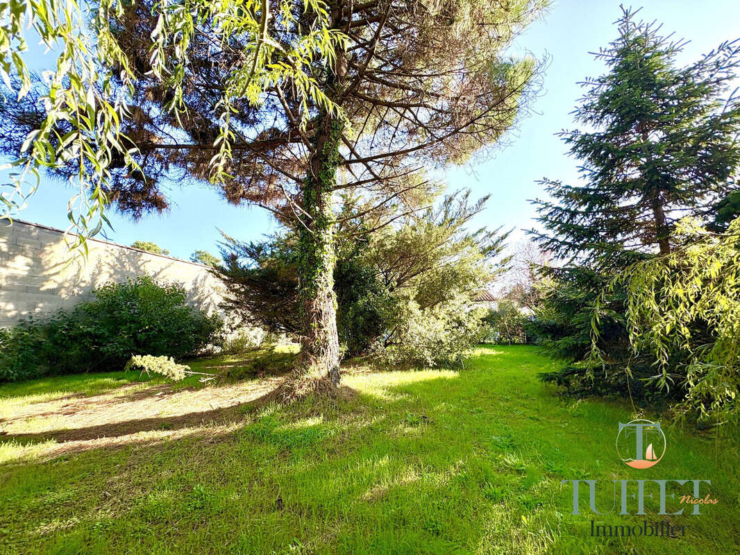 Terrain à LES MATHES