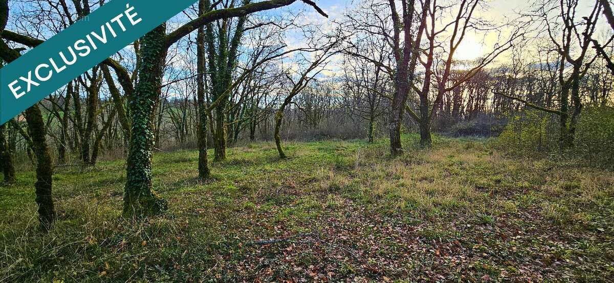 Terrain 2222 m² à Vegennes  - photo 2