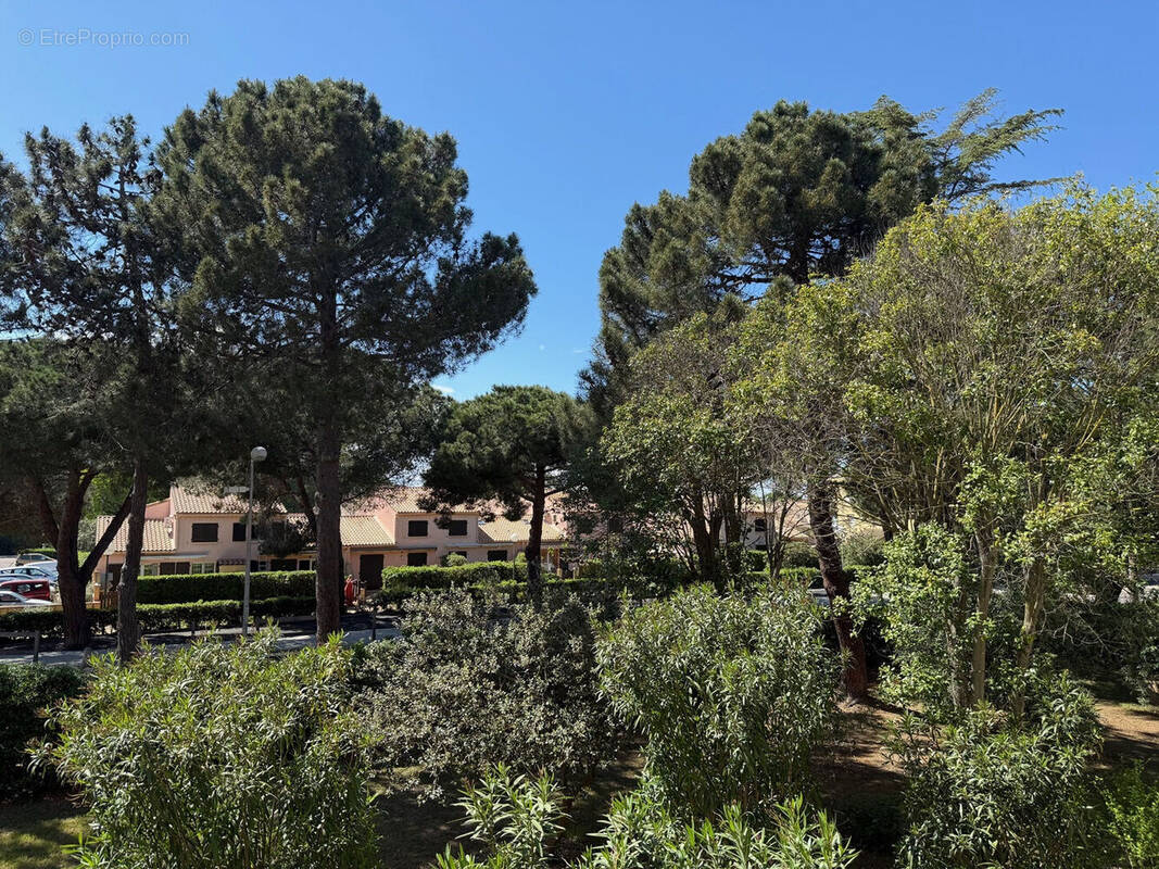 Photo 1 - Appartement à ARGELES-SUR-MER