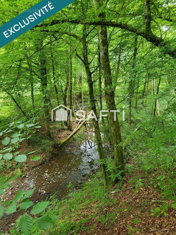 Photo 2 - Terrain à RONCHAMP