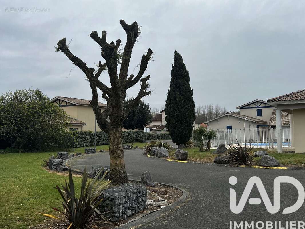 Photo 2 - Maison à TARTAS