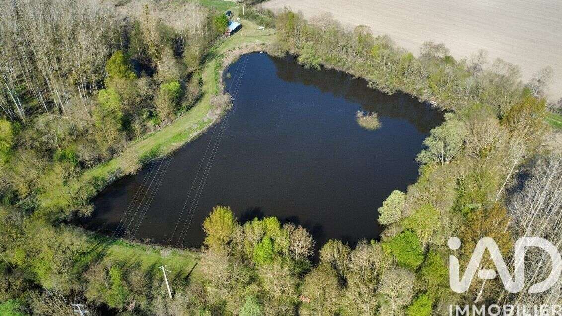 Photo 9 - Terrain à CHINON