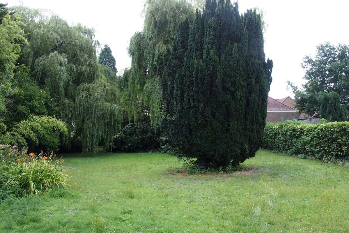 Photo 6 - Maison à SAINGHIN-EN-MELANTOIS