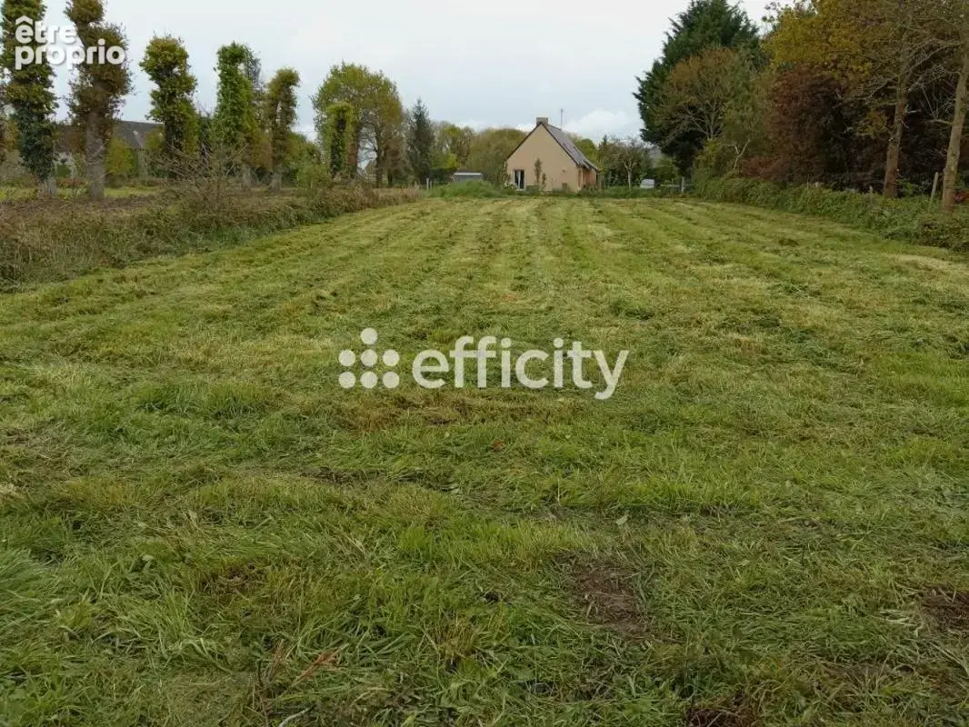 Terrain à VILDE-GUINGALAN