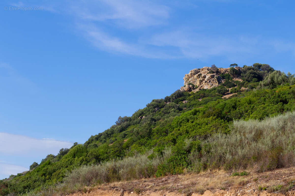 Terrain à PROPRIANO