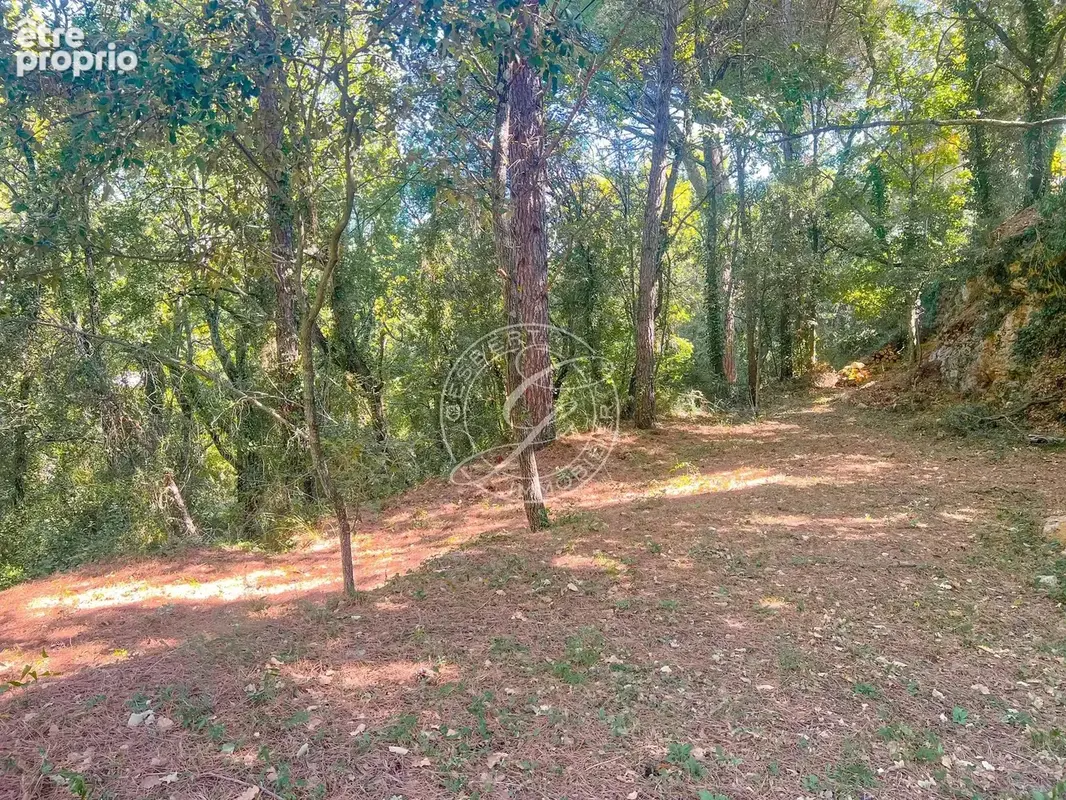 Salernes -terrain à bâtir de 6 447 m² avec permis de construire accordé - photo 9