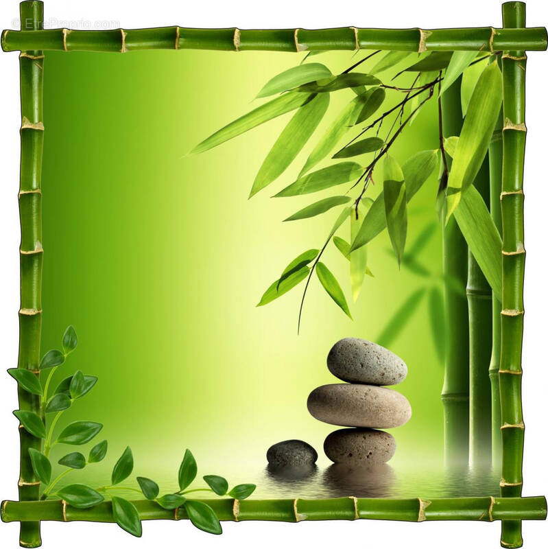 Commerce à LE HAVRE