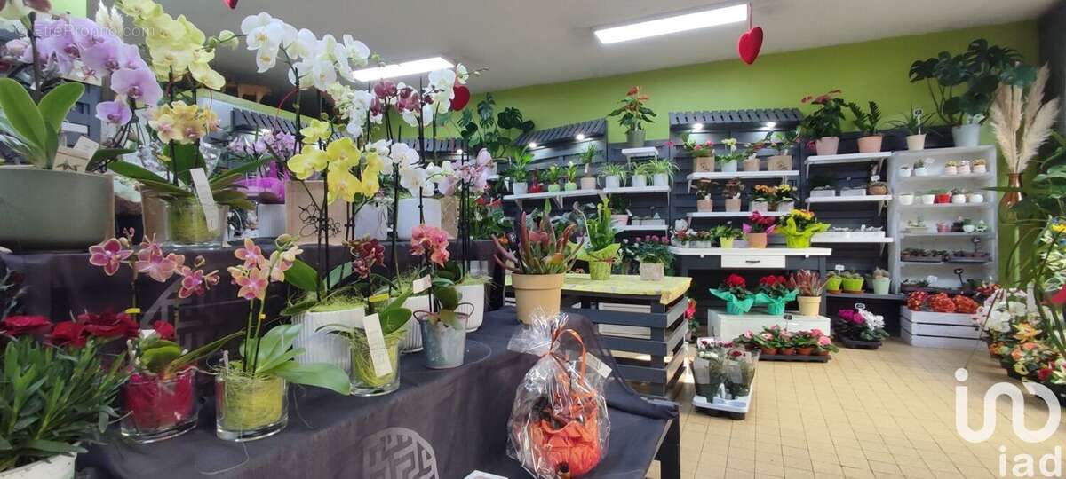 Photo 9 - Commerce à SAINT-PIERRE-D&#039;ALBIGNY