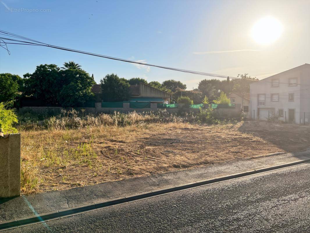 Terrain à MARSEILLAN