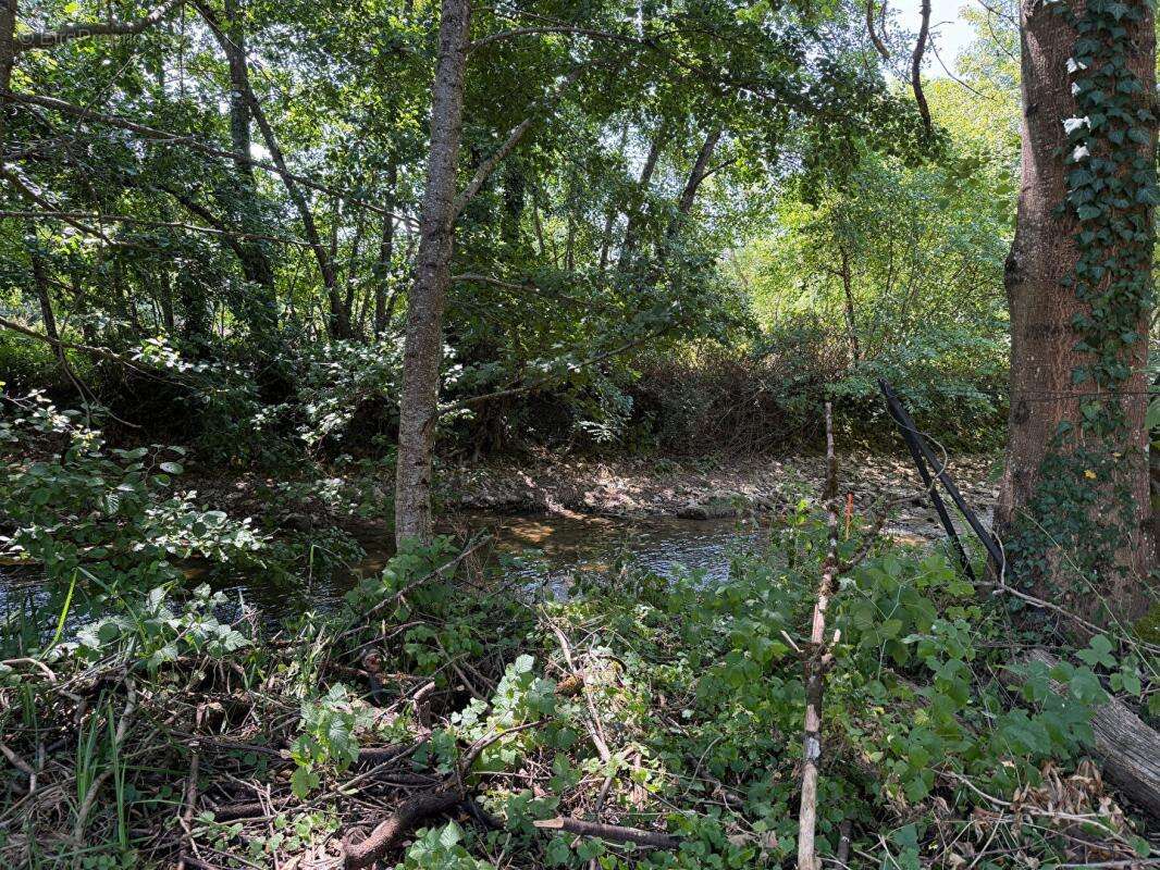 Terrain constructible viabilisé au bord de l'eau - photo 9