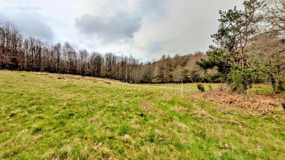 Maison à LACROUZETTE