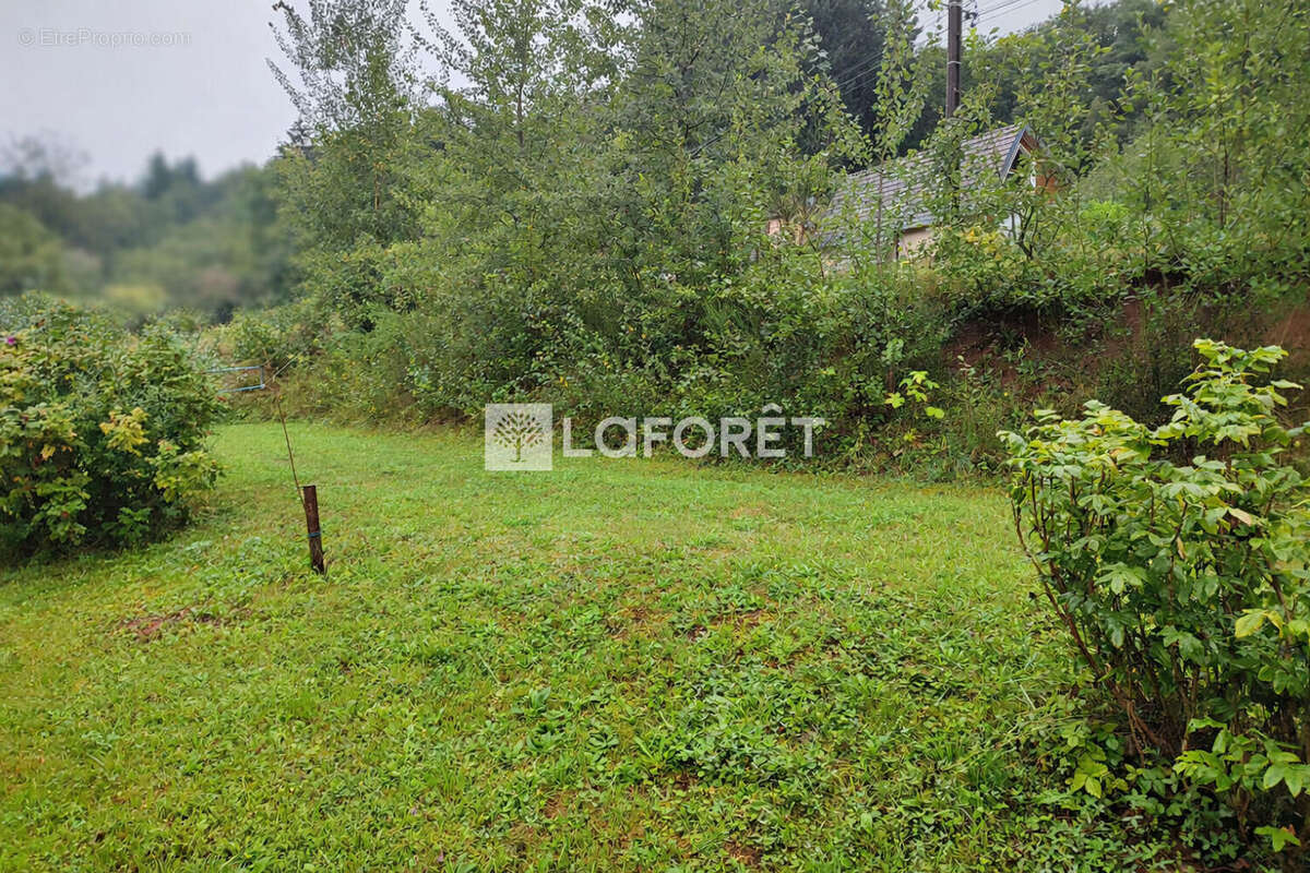 Terrain à ETUEFFONT
