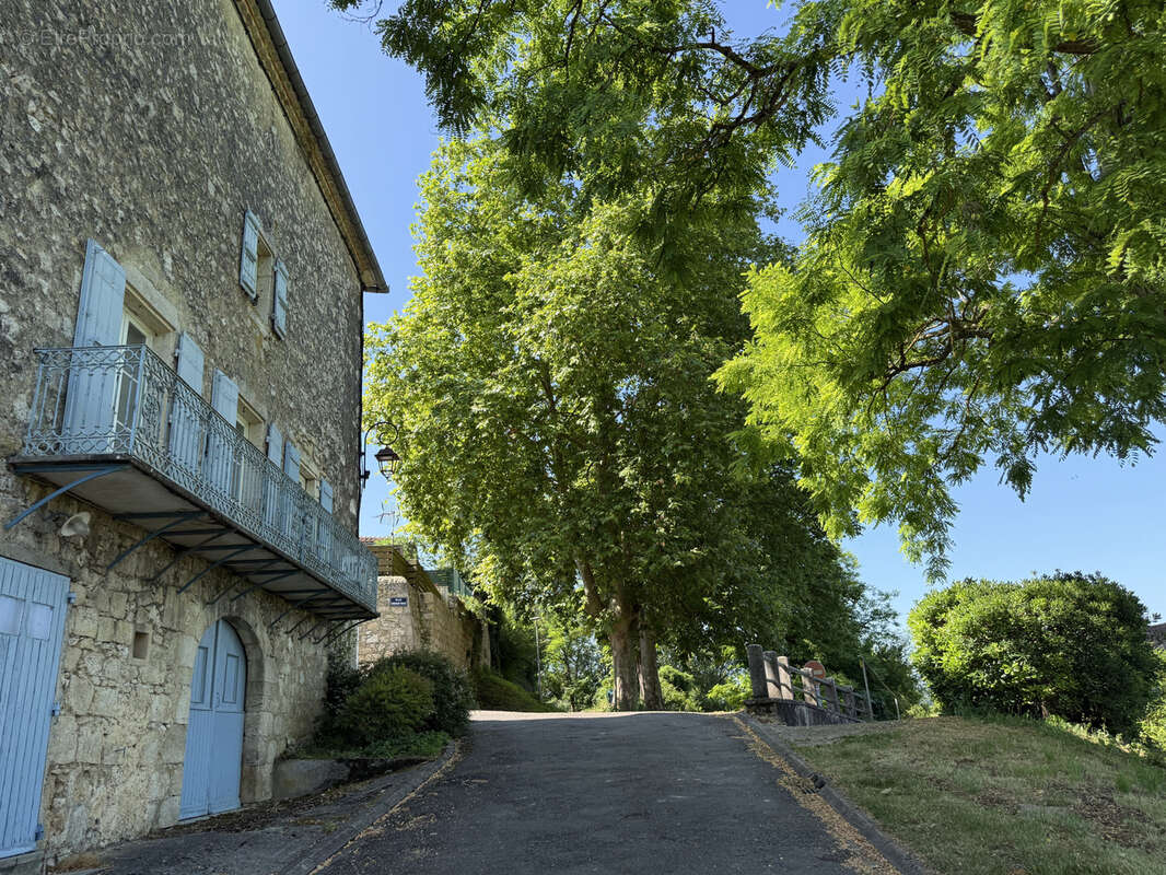 Ancien presbytère avec jardin dans le cœur du village de Montréal du Gers - photo 23