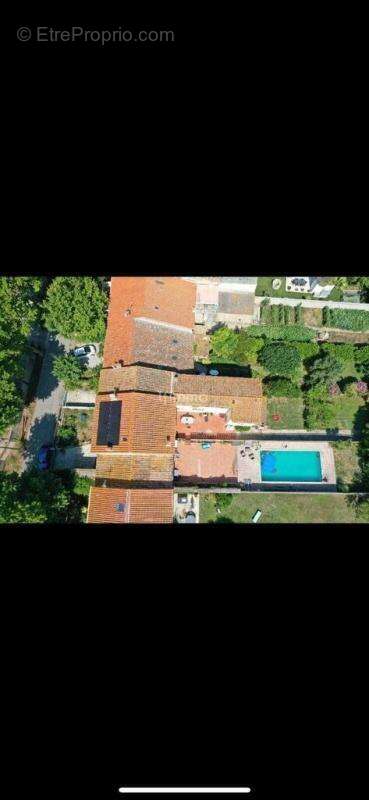 Grande maison vigneronne avec piscine, gîte et dépendances - photo 20