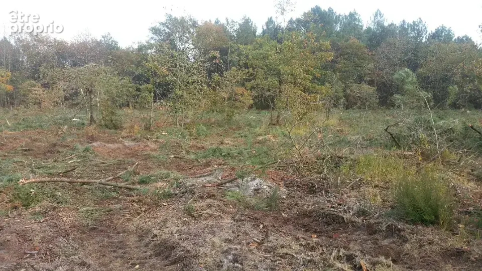 Photo Terrain à Parempuyre au prix de 195 000€