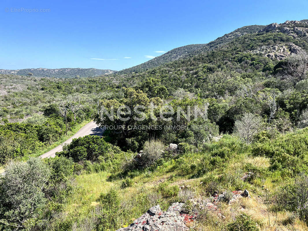 Terrain à PORTO-VECCHIO