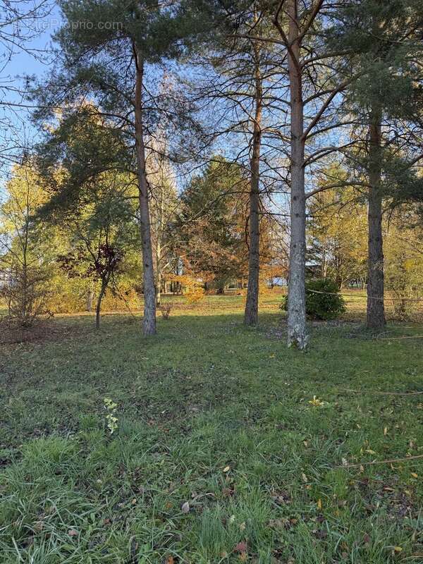 Terrain à CHEVANNES