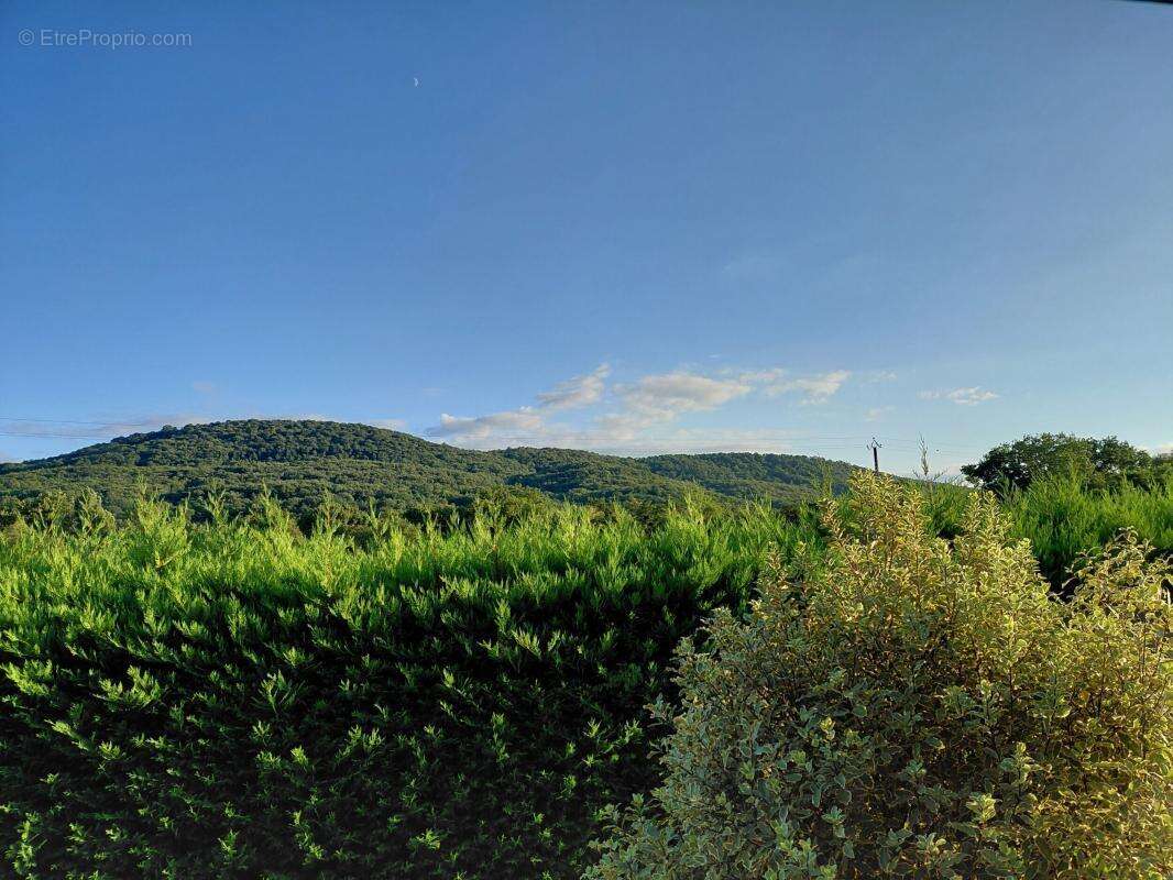 Maison à MARTRES-TOLOSANE