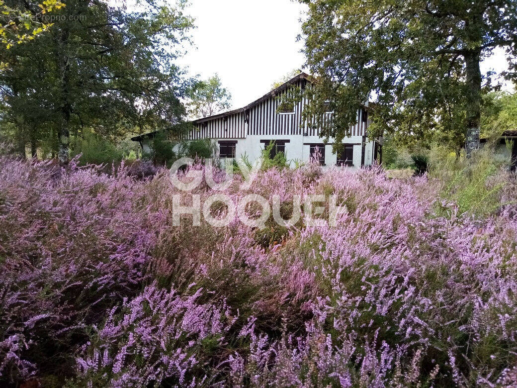 Maison à RION-DES-LANDES