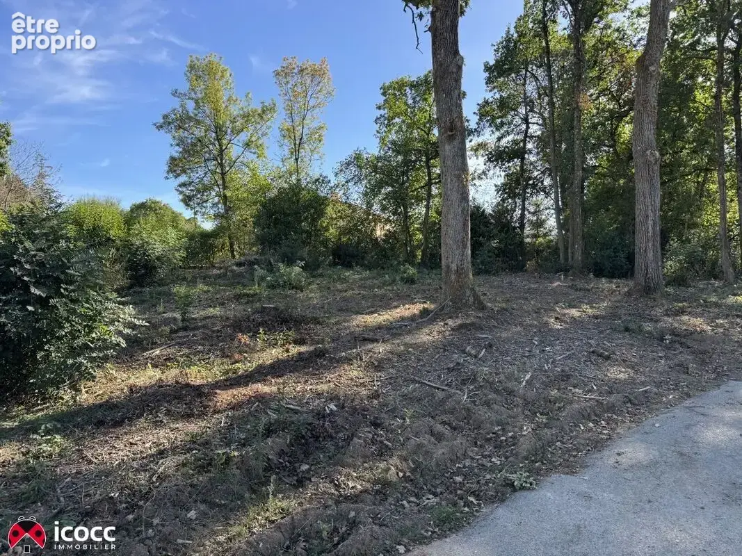 Photo Terrain à Mareuil-Sur-Lay-Dissais au prix de 39 000€