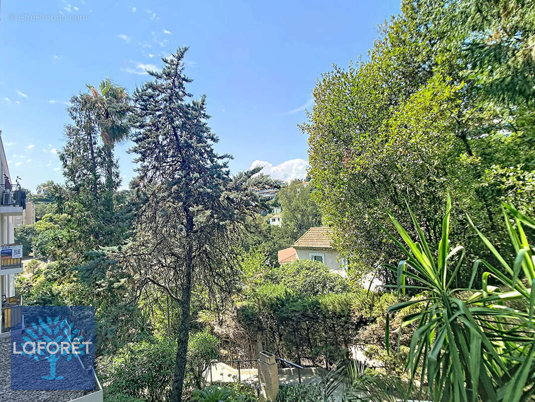 Cannes Petit Juas - 3 pièces traversant avec balcon et vue dégagée - photo 9