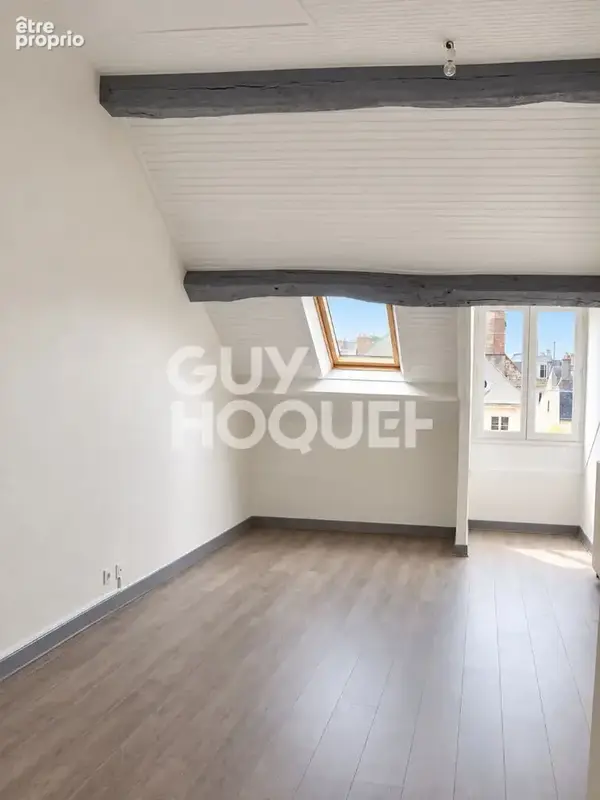 Immeuble de caractère, Orleans Centre - 5 lots - photo 15