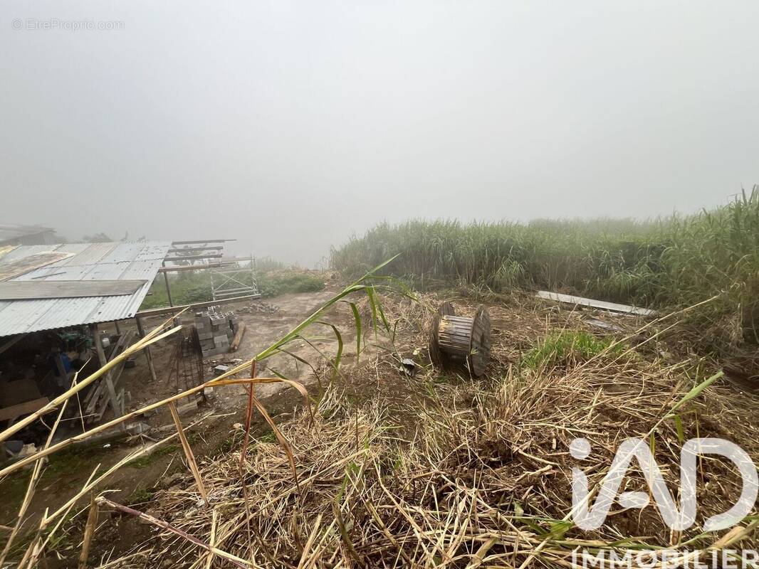 Photo 1 - Terrain à LES AVIRONS