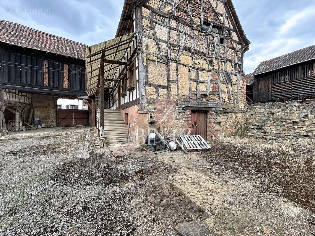 Maison à WINGERSHEIM
