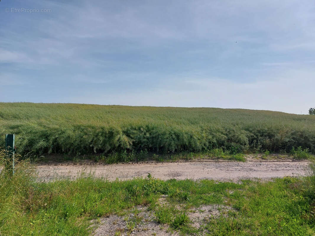 Maison à SCHLEITHAL