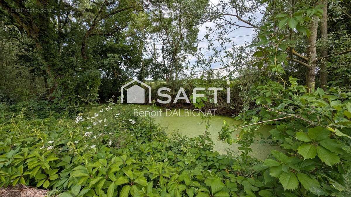 Maison 235 m² à Chouze-Sur-Loire  - photo 8