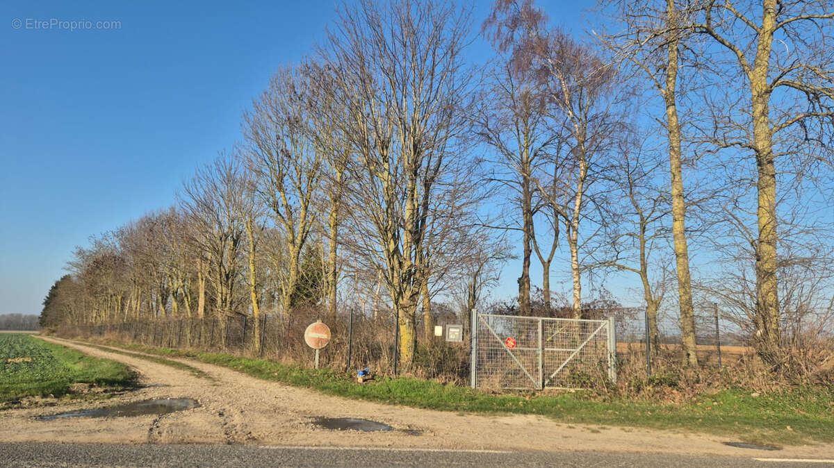 Terrain à ALLONVILLE