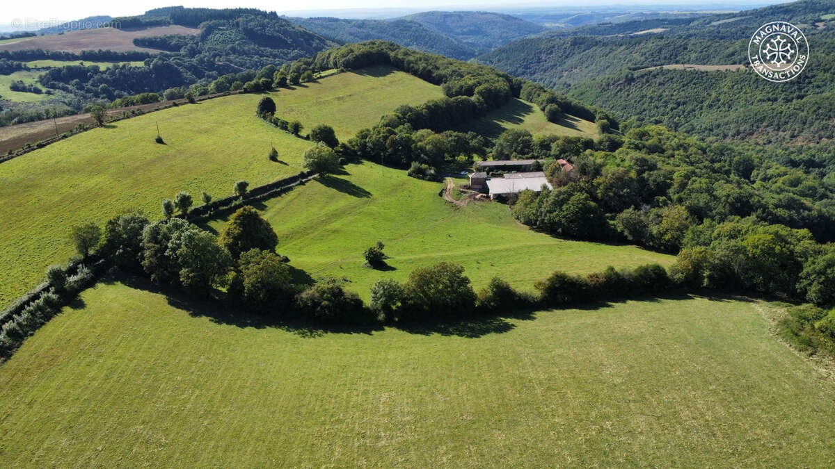 Maison à MONTREDON-LABESSONNIE