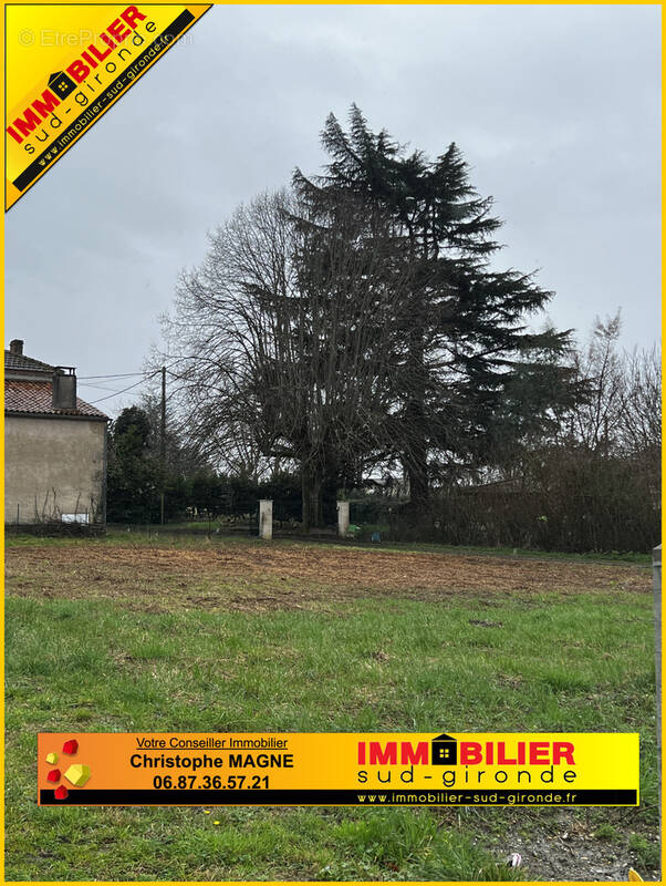 Terrain à SAINT-MAIXANT