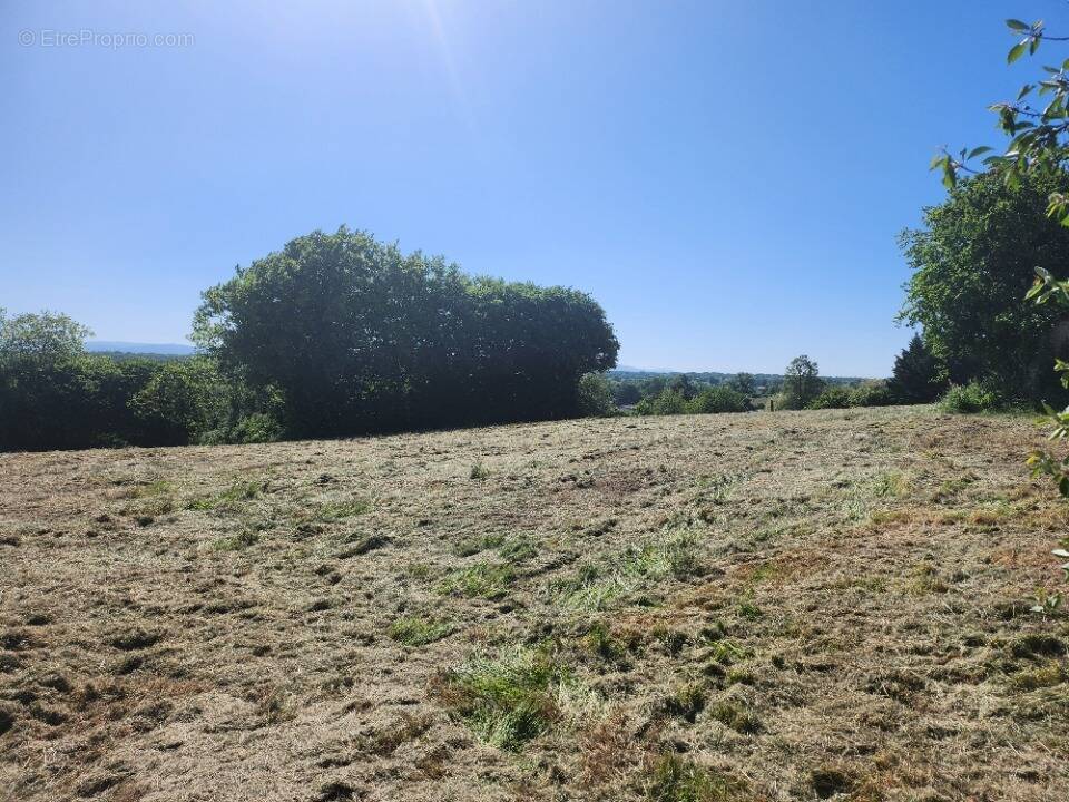 Terrain à CHALAMONT