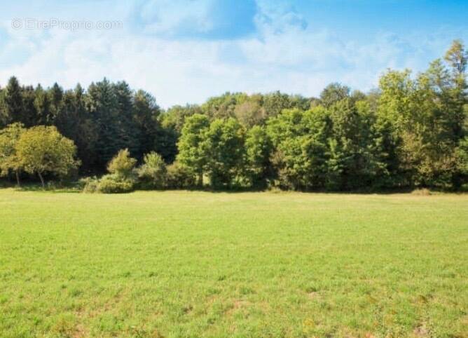 Terrain à FRANCONVILLE