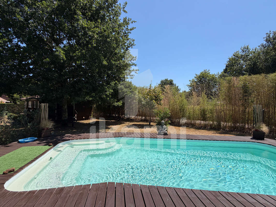 Maison familiale avec dépendances   cadre exceptionnel en lisière de forêt - photo 26