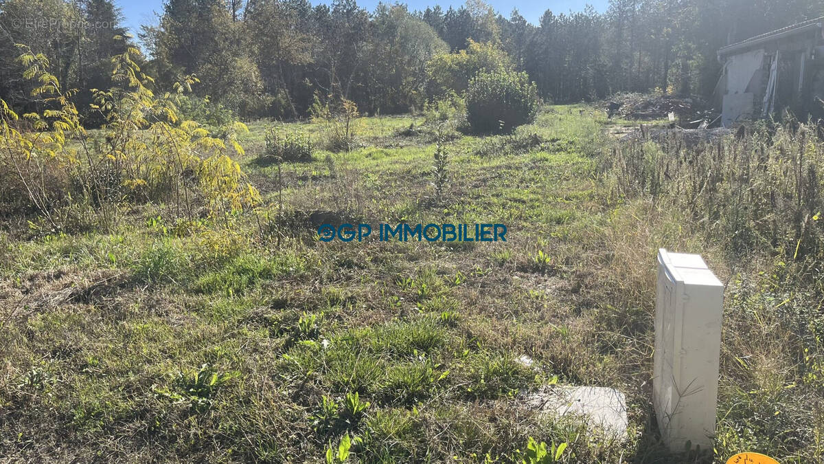 Terrain à VILLEMATIER