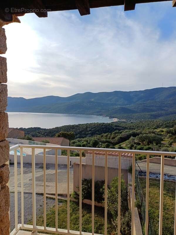 Exclusivité : superbe T2 vue panoramique mer et montagne en corse-du-Sud à SERRA DI FERRO (20) - photo 14
