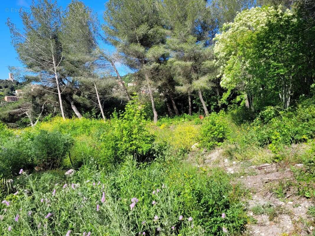 Terrain à LA TURBIE