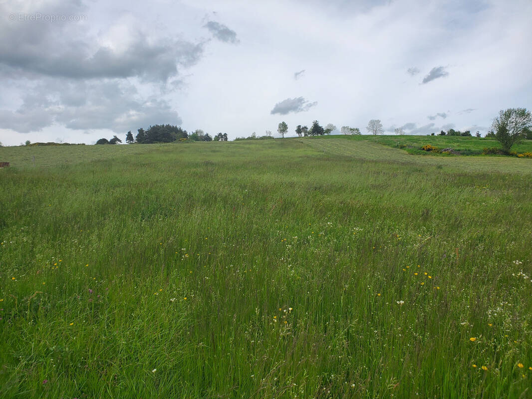 Terrain à COUCOURON