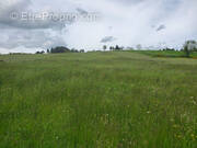 Terrain à COUCOURON