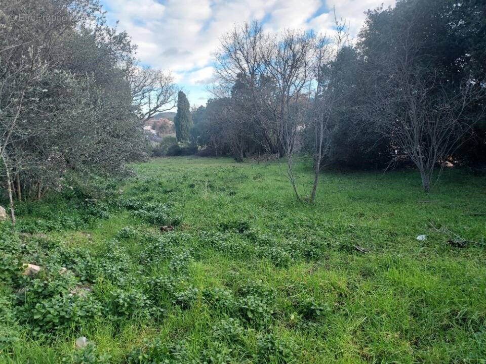 Terrain 970 m² à Camps-La-Source  - photo 1