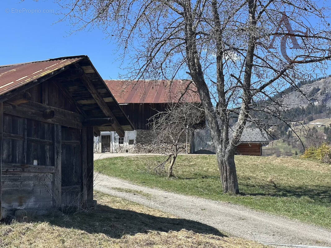 Maison à PRAZ-SUR-ARLY