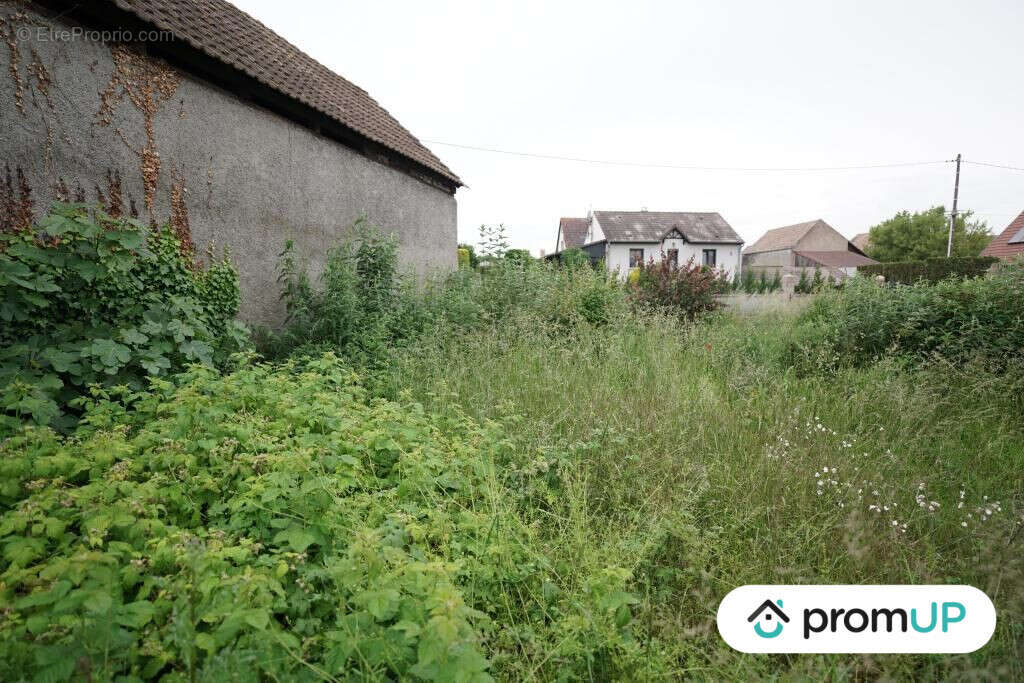 Terrain à HIRTZFELDEN