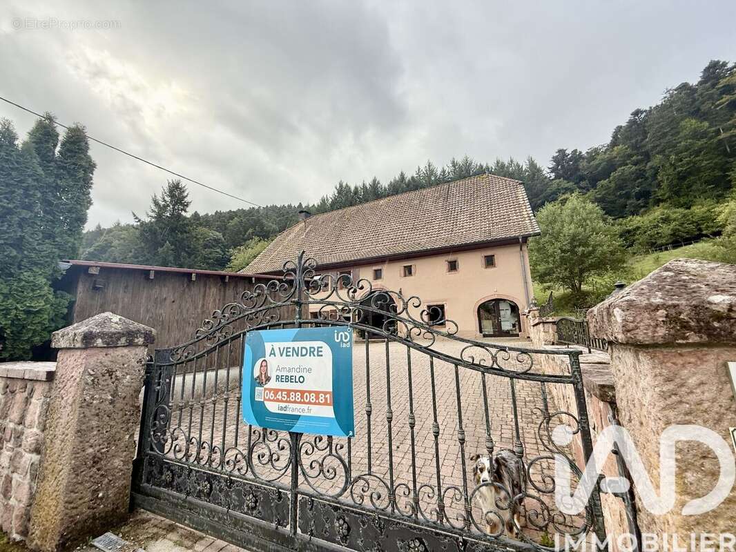 Photo 2 - Maison à SAINTE-CROIX-AUX-MINES