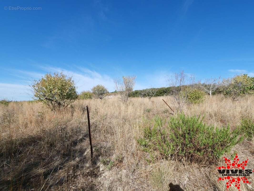 Terrain agricole de 5075 m² - photo 5