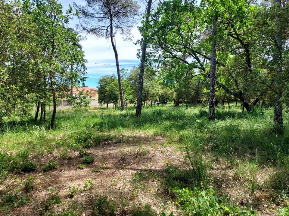 Terrain 847 m² à Gareoult  - photo 4
